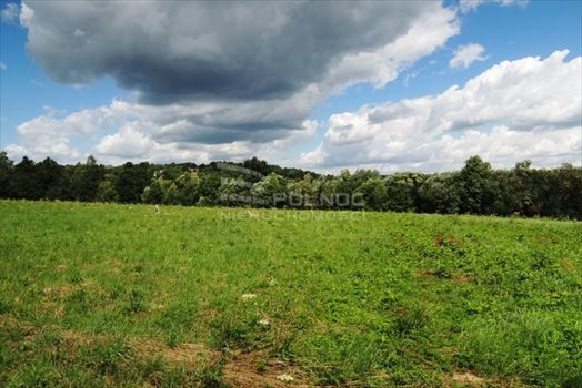 Działka budowlana na sprzedaż Włosań, Spacerowa 1 200m2 Foto 5