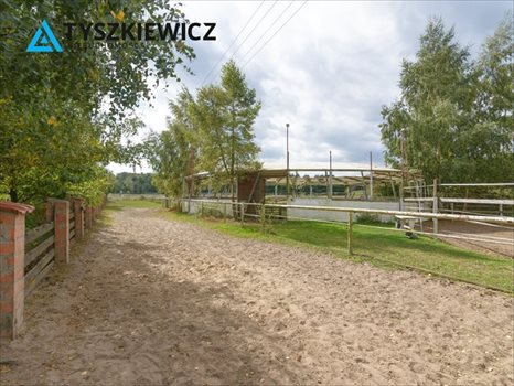 Działka inna pod dzierżawę Boroszewo 38 971m2 Foto 7