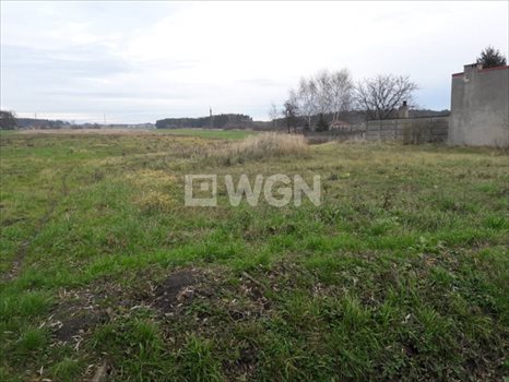 Działka budowlana na sprzedaż Smardów, Smardów 1 000m2 Foto 4