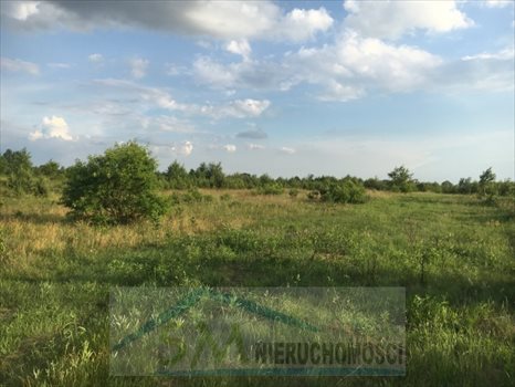 Działka budowlana na sprzedaż Dosin, działka budowlana do zabudowy jednorodzinnej i usług nieucią 900m2 Foto 7