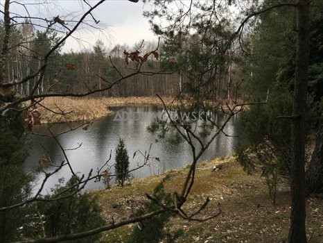 Działka rekreacyjna na sprzedaż Wólka Mlęcka 4 500m2 Foto 6