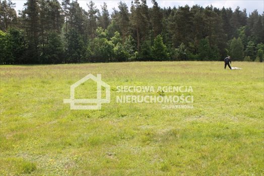 Działka budowlana na sprzedaż Lubowidz 955m2 Foto 5