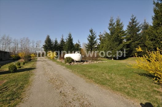 Działka inwestycyjna na sprzedaż Groblice 9 024m2 Foto 6