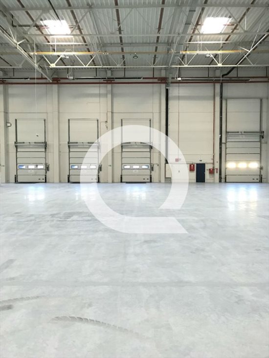 Lokal użytkowy na wynajem Elbląg 1 620m2 Foto 6