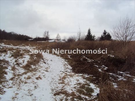 Działka budowlana na sprzedaż Wałbrzych, Piaskowa Góra 7 968m2 Foto 3