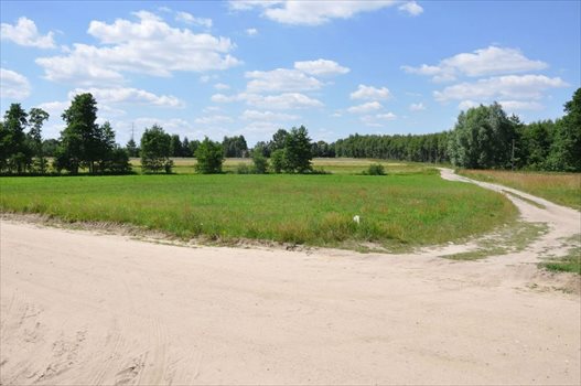 Działka budowlana na sprzedaż Sieradz 4 143m2 Foto 3
