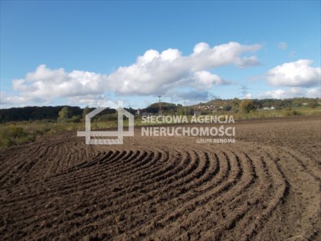 Działka rolna na sprzedaż Gdańsk, Lipce 44 000m2 Foto 5