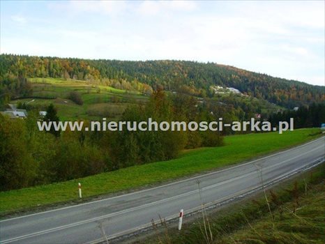 Działka budowlana na sprzedaż Lubomierz 2 000m2 Foto 4