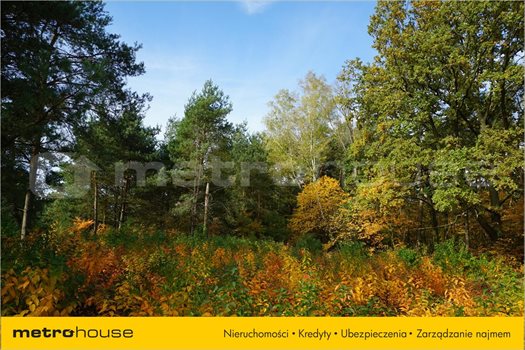 Działka inna na sprzedaż Bechcice, Lutomiersk 1 235m2 Foto 2