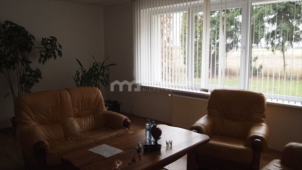 Lokal użytkowy na sprzedaż Buk 1 500m2 Foto 11