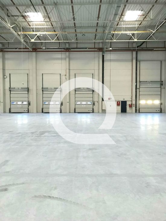 Lokal użytkowy na wynajem Elbląg 3 780m2 Foto 2