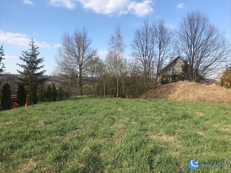 Działka budowlana na sprzedaż Krzyszkowice 1 182m2 Foto 3