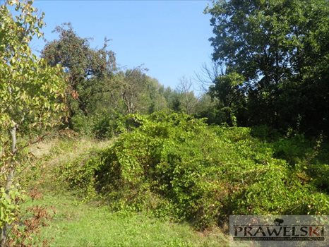 Dom na sprzedaż Błażowa Górna 120m2 Foto 11