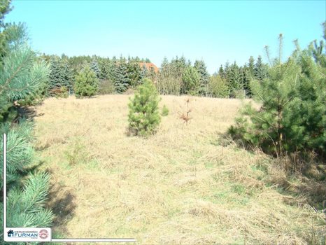Działka budowlana na sprzedaż Laskowo 1 823m2 Foto 3
