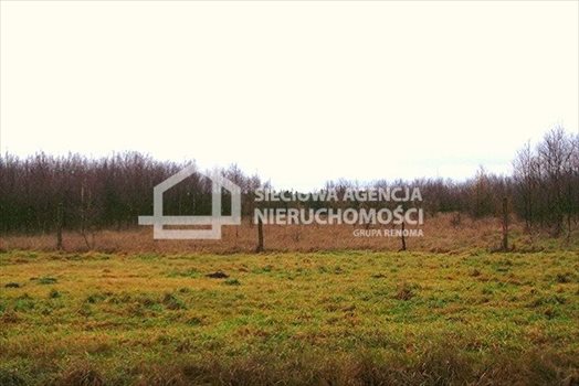 Działka leśna na sprzedaż Strzeczona 206 330m2 Foto 6