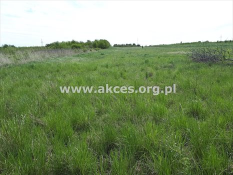 Działka inna na sprzedaż Komorniki 14 814m2 Foto 10