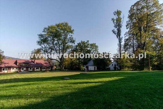 Dom na wynajem Jordanów 70m2 Foto 4