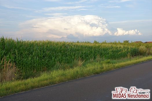 Działka inna na sprzedaż Zarzeczewo 9 366m2 Foto 3