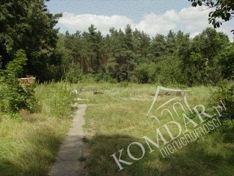 Działka budowlana na sprzedaż Warszawa, Wawer, Fromborska 3 459m2 Foto 4