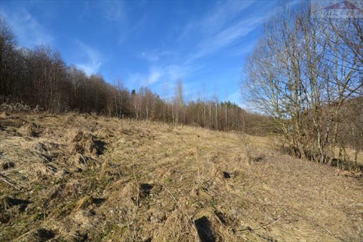Działka rekreacyjna na sprzedaż Babice 2 400m2 Foto 2
