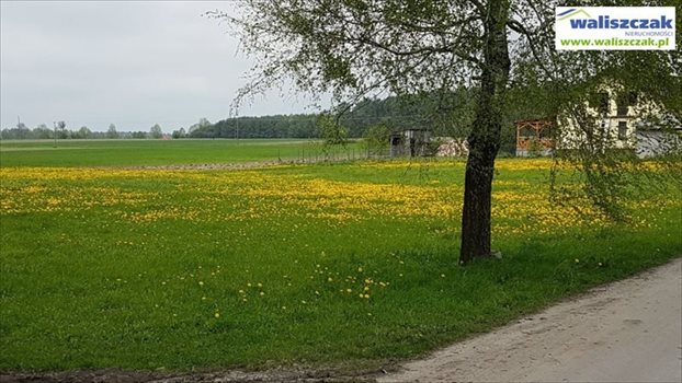 Działka budowlana na sprzedaż Włodzimierzów 3 500m2 Foto 4
