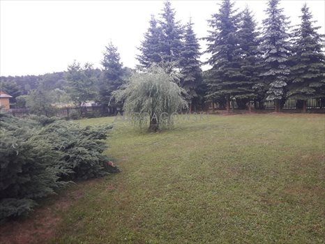 Dom na sprzedaż Wierzchowiska Pierwsze 120m2 Foto 3