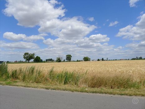 Działka inna na sprzedaż Wola Mąkolska 5 891m2 Foto 2