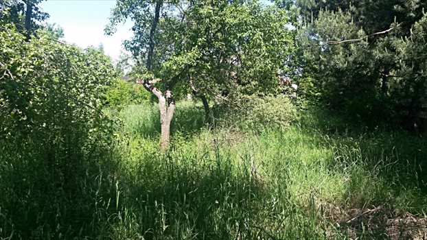 Działka budowlana na sprzedaż Częstochowa, Gnaszyn Górny, jezioran 739m2 Foto 3
