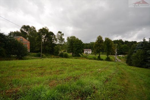 Działka budowlana na sprzedaż Przybówka 1 800m2 Foto 4