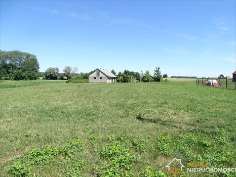 Działka rolna na sprzedaż Sikory-Piotrowięta 3 170m2 Foto 3