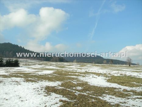 Działka budowlana na sprzedaż Wilczyce 2 400m2 Foto 1