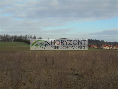Działka budowlana na sprzedaż Małkowo 1 107m2 Foto 1