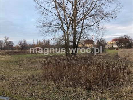 Działka budowlana na sprzedaż Siechnice 2 772m2 Foto 7