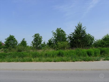 Działka inna na sprzedaż Rosanów 2 712m2 Foto 5
