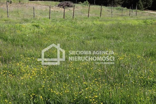 Działka budowlana na sprzedaż Lubowidz 1 160m2 Foto 3