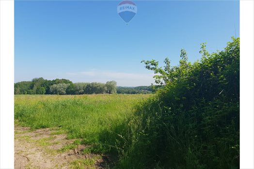 Działka budowlana na sprzedaż Grodziec 1 220m2 Foto 11