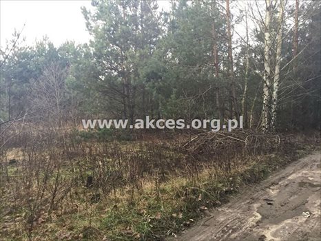 Działka budowlana na sprzedaż Łoś, Łoś 1 000m2 Foto 3