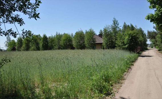 Działka budowlana na sprzedaż Promienko, Tawułowa 1 200m2 Foto 5