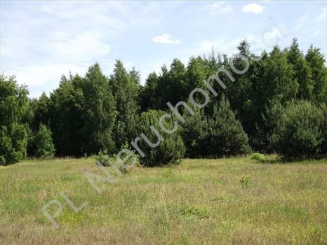 Działka budowlana na sprzedaż Książenice 1 600m2 Foto 6