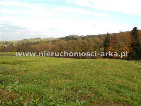Działka budowlana na sprzedaż Kasina Wielka 1 500m2 Foto 4