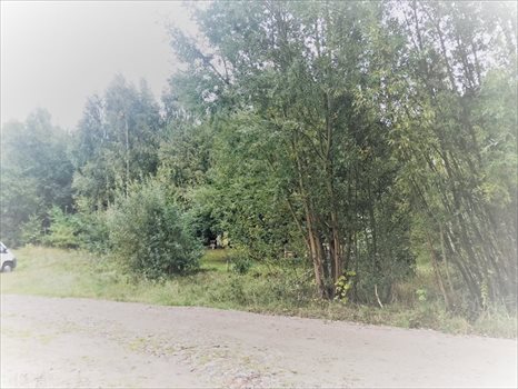 Działka budowlana na sprzedaż Charzykowy, Droga pod Strzechę 1 945m2 Foto 6