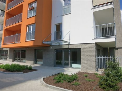 Lokal użytkowy na sprzedaż Poznań, Stare Miasto, Winogrady, Wilczak 113m2 Foto 7