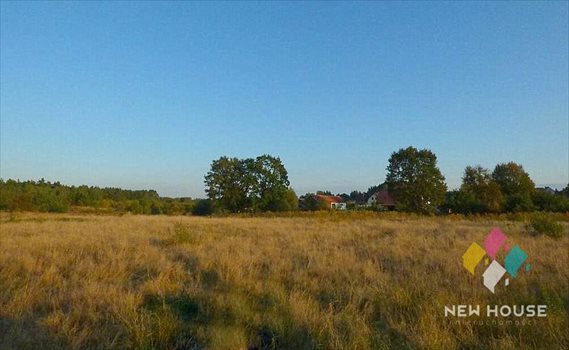Działka budowlana na sprzedaż Wójtowo, Krokusowa 1 240m2 Foto 2