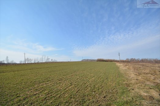 Działka rekreacyjna na sprzedaż Drohobyczka 5 800m2 Foto 8