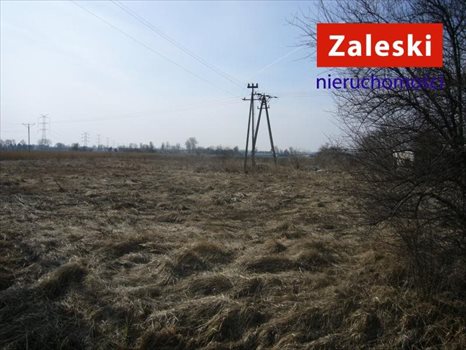 Działka siedliskowa na sprzedaż Gdańsk, Olszynka, Zawodzie 11 648m2 Foto 1