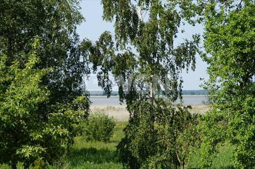 Działka budowlana na sprzedaż Wysoka, Wysoka, Wysoka 5 000m2 Foto 4