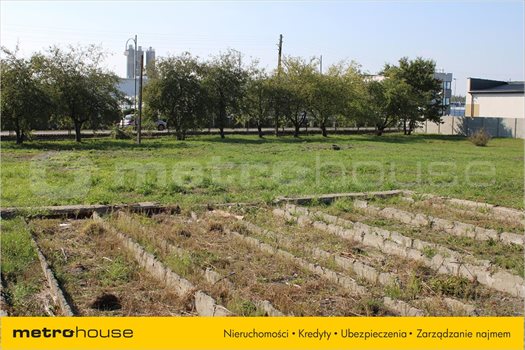 Działka inna na sprzedaż Rzgów, Rzgów 5 000m2 Foto 3