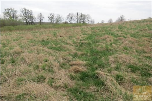 Działka rolna na sprzedaż Cerkiewnik, Cerkiewnik, Cerkiewnik 21 425m2 Foto 4