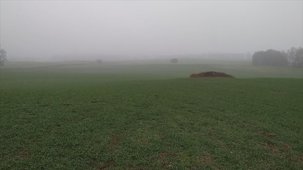Działka gospodarstwo rolne na sprzedaż Ełk 7 000 000m2 Foto 9