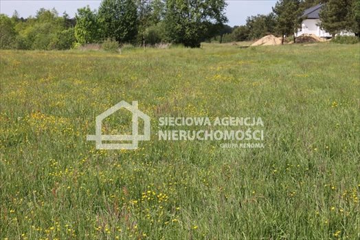 Działka budowlana na sprzedaż Lubowidz 1 160m2 Foto 6